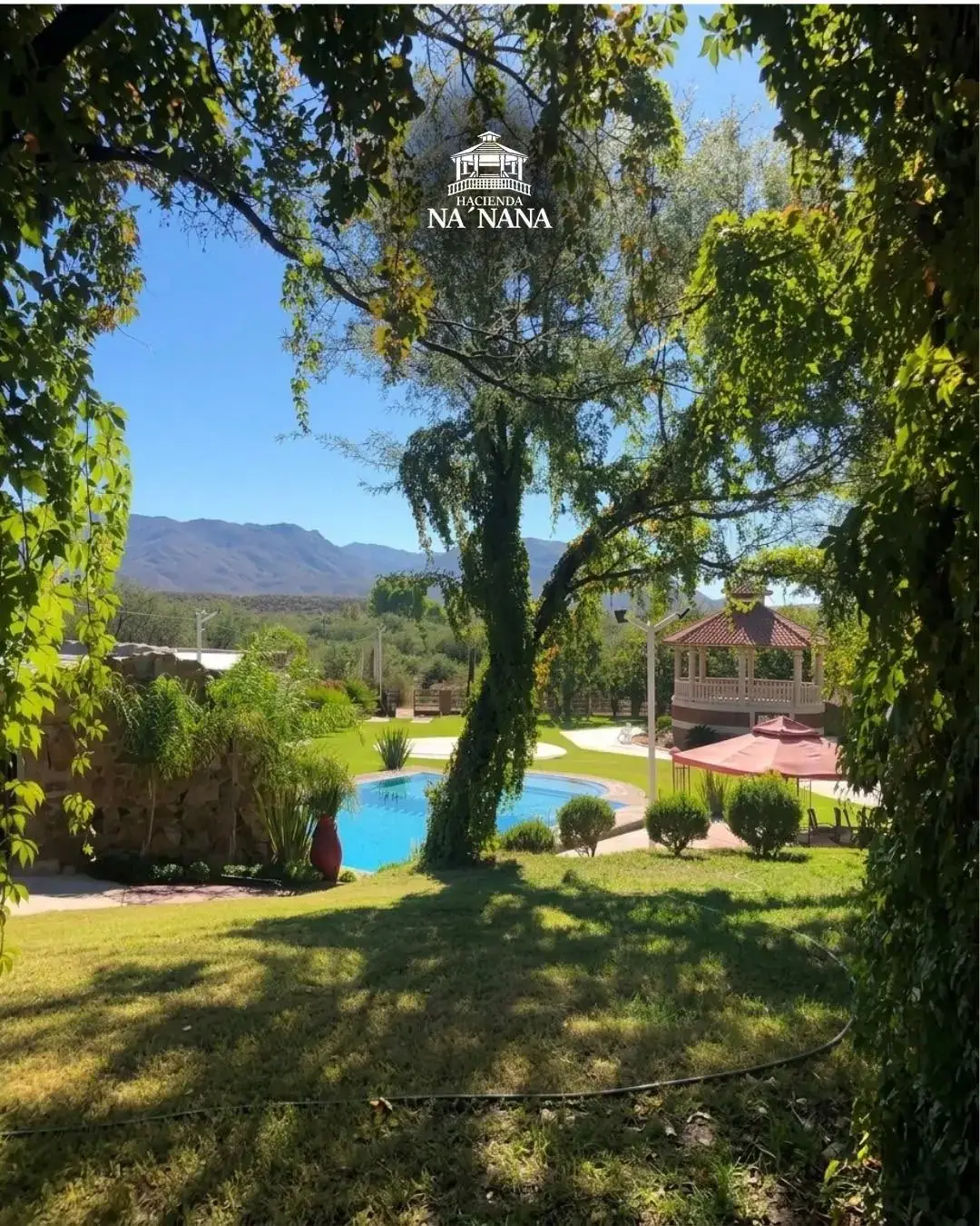 La alberca y el kiosko vistos entre árboles, con la sierra al fondo