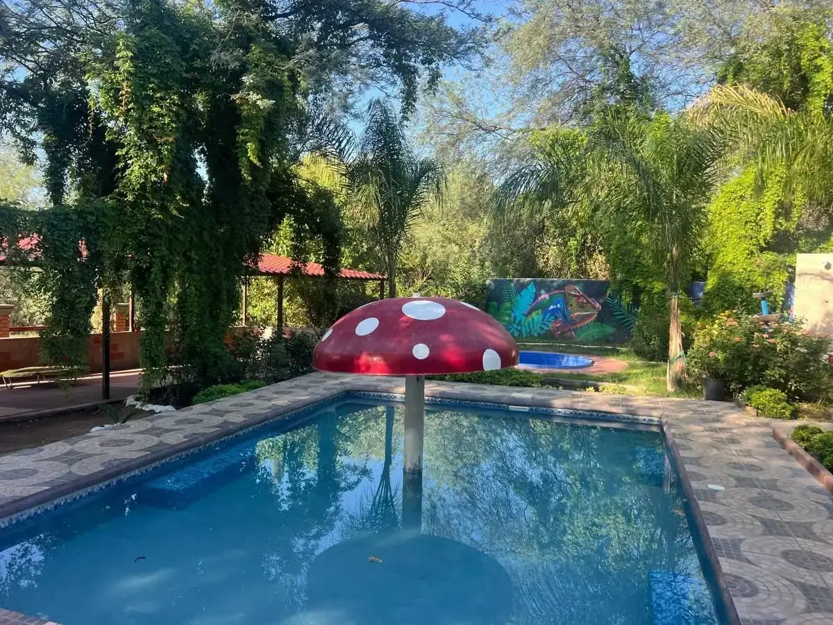 Chapoteadero con un hongo rojo que da sombra, rodeado de árboles